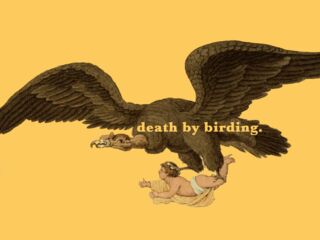 deathbybirdingpodcast